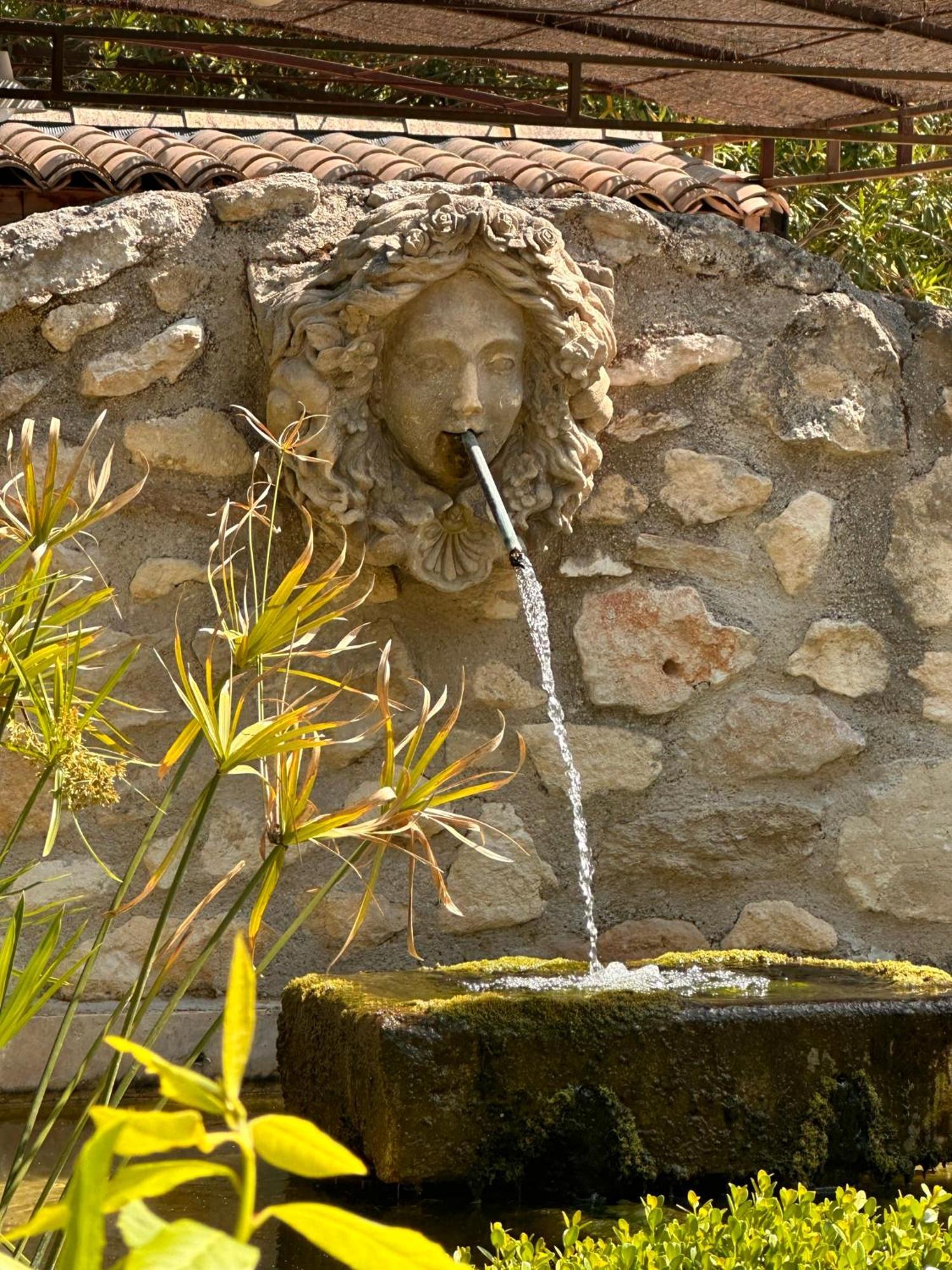 Hotel Mas des Bambous à Saint-Rémy-de-Provence Extérieur photo