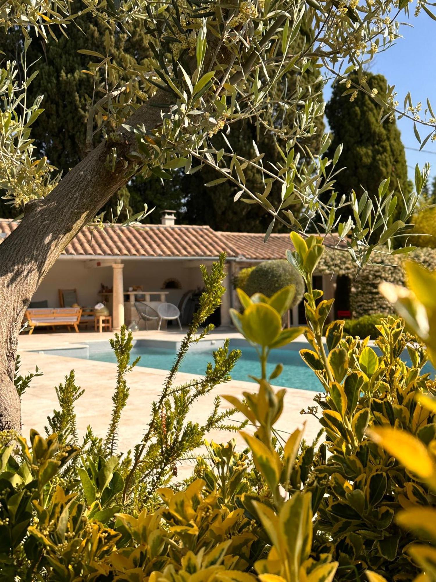 Hotel Mas des Bambous à Saint-Rémy-de-Provence Extérieur photo