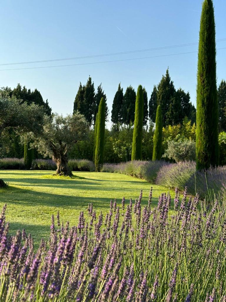Hotel Mas des Bambous à Saint-Rémy-de-Provence Extérieur photo