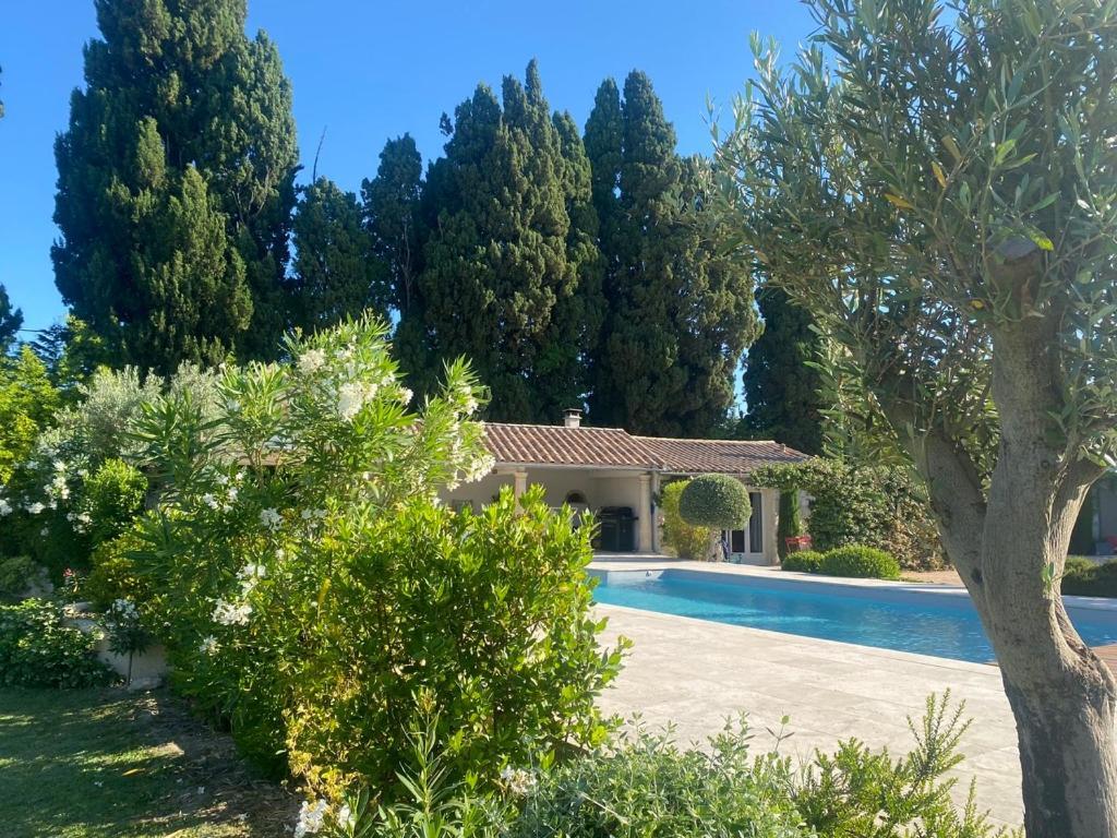 Hotel Mas des Bambous à Saint-Rémy-de-Provence Extérieur photo