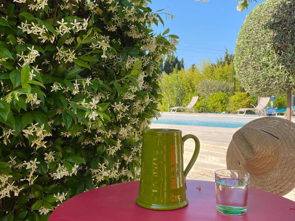 Hotel Mas des Bambous à Saint-Rémy-de-Provence Extérieur photo